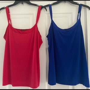 2 Tank Tops from The Limited